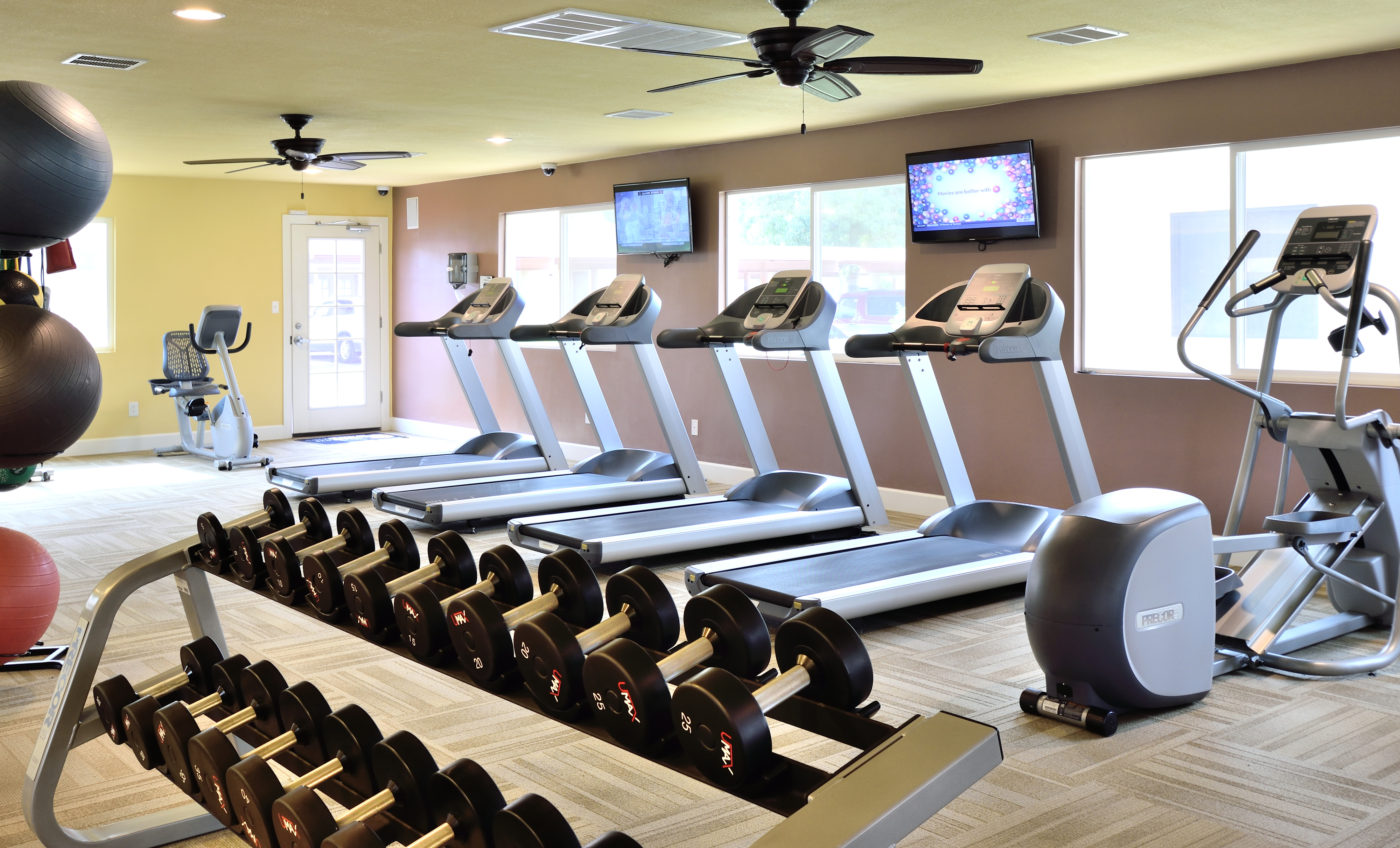 View of Fitness Center, Showing Cardio Equipment, Ceiling Fans, Flat Screen TV\'s and Weight Bench at Camelot Apartments