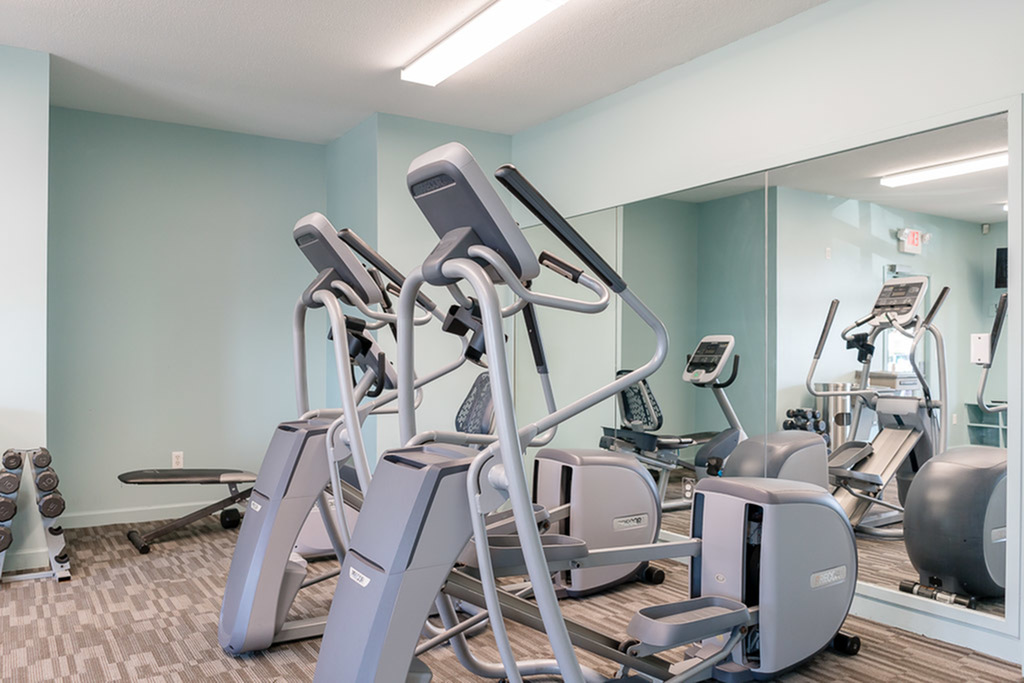 View of Fitness Center, Showing Cardio Equipment, Free-Weights, Weight Bench and Mirrors at Clearview Apartments
