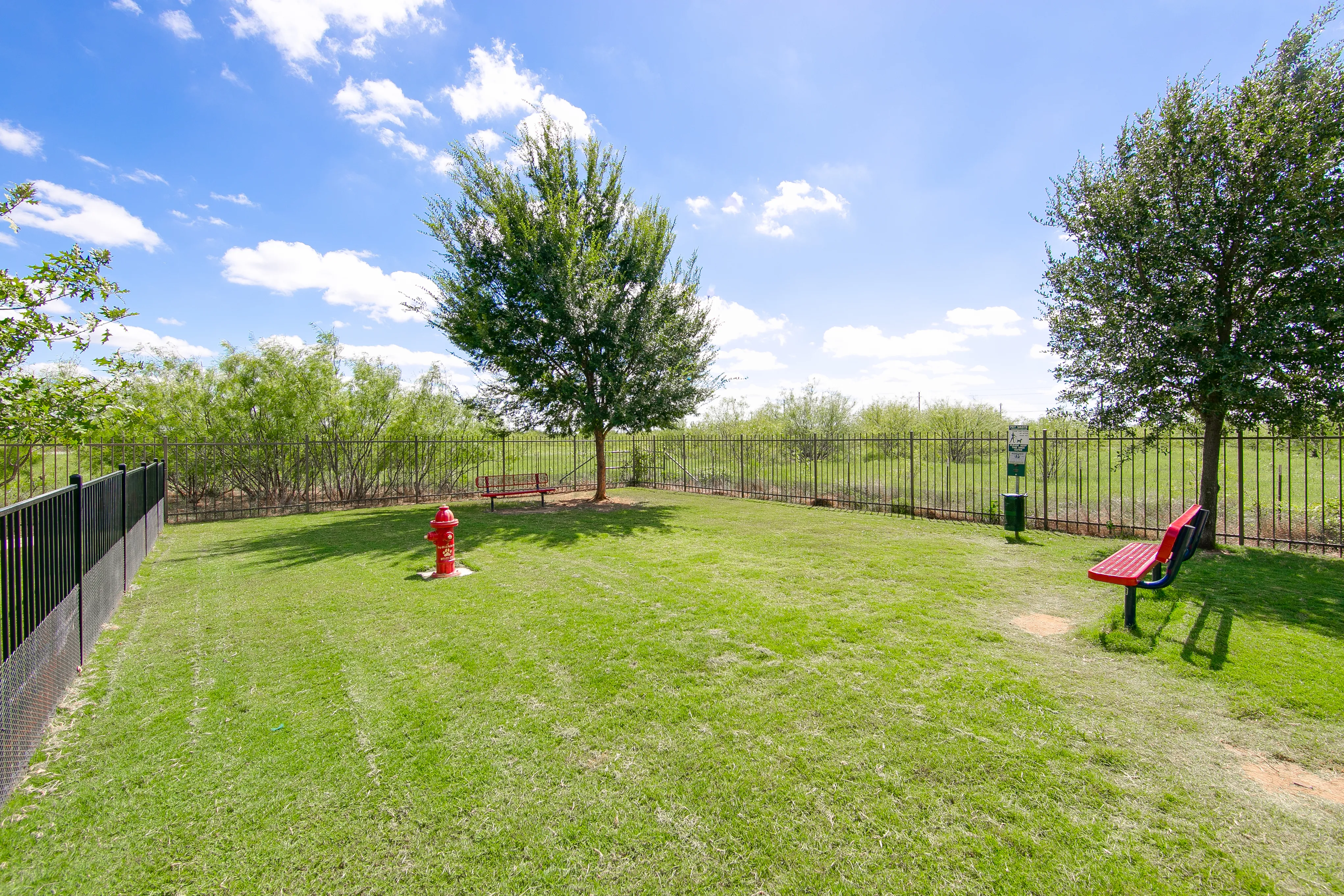 View of Fenced Dog Park, Showing Puppy Fire Hydrant, Benches, and Landscaping at Enclave on Golden Triangle Apartments