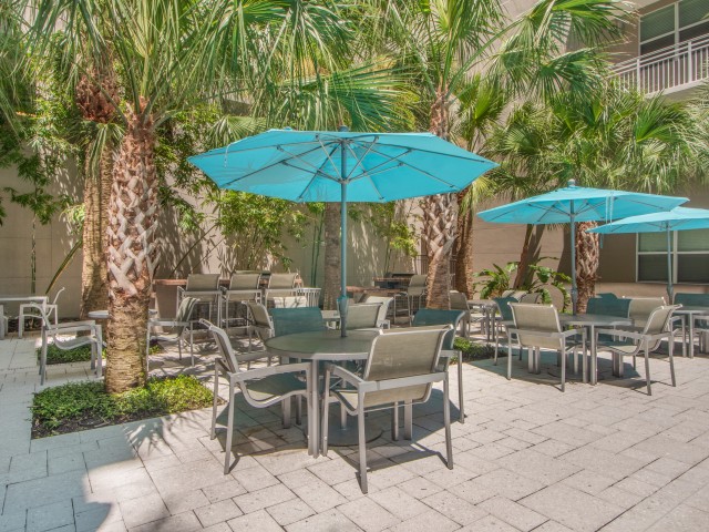 View of Pool Area, Showing BBQ Grills, Picnic Areas, Umbrellas, and Palm Trees at Cottonwood Bayview Apartments