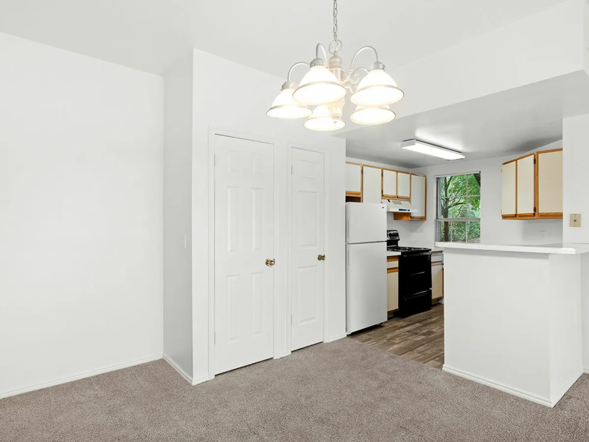 Bright, inviting apartment kitchen with modern appliances, charming cabinetry, and plush carpet transitioning to sleek wood flooring.