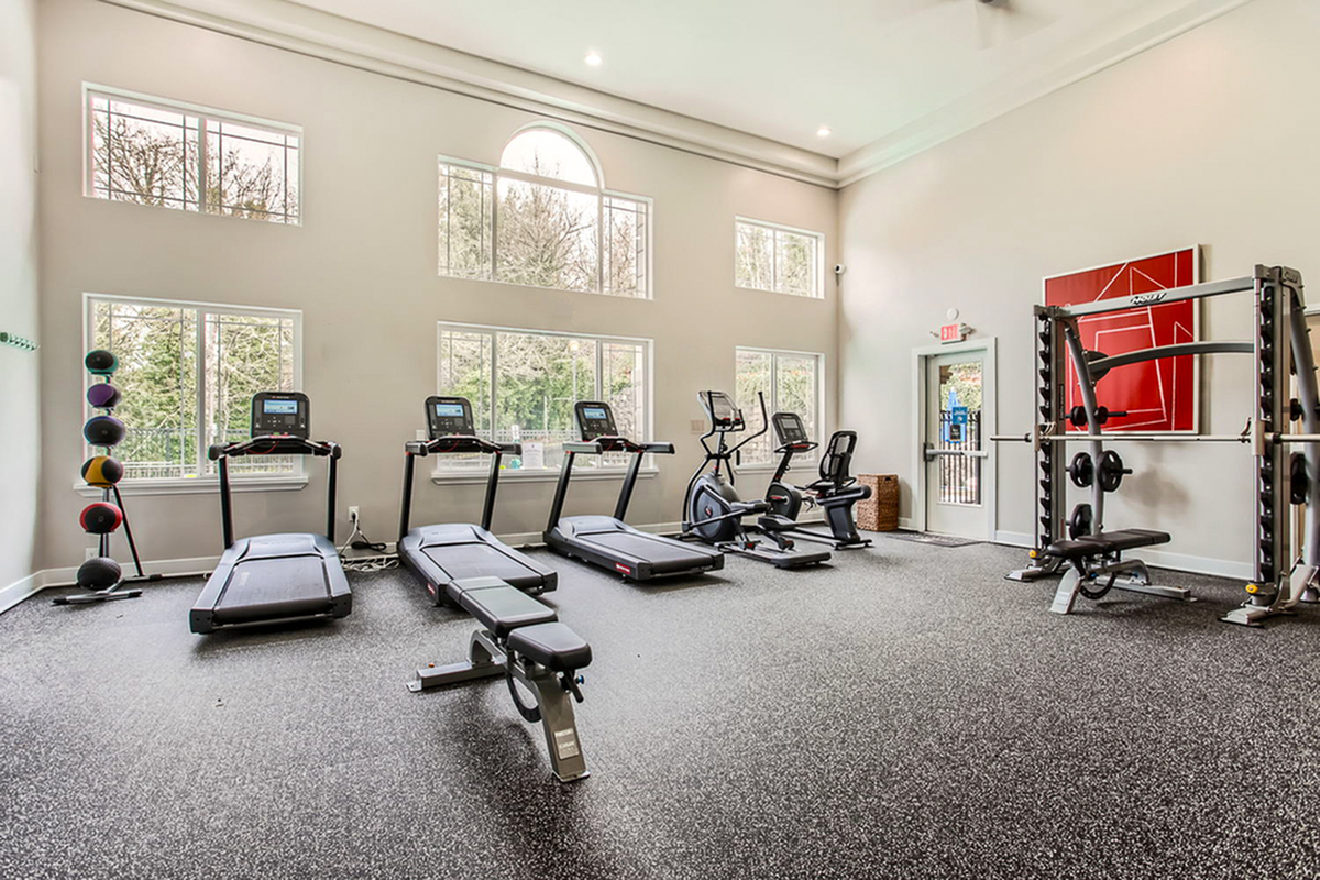 Bright and spacious fitness center with modern treadmills, exercise bikes, and versatile training equipment.