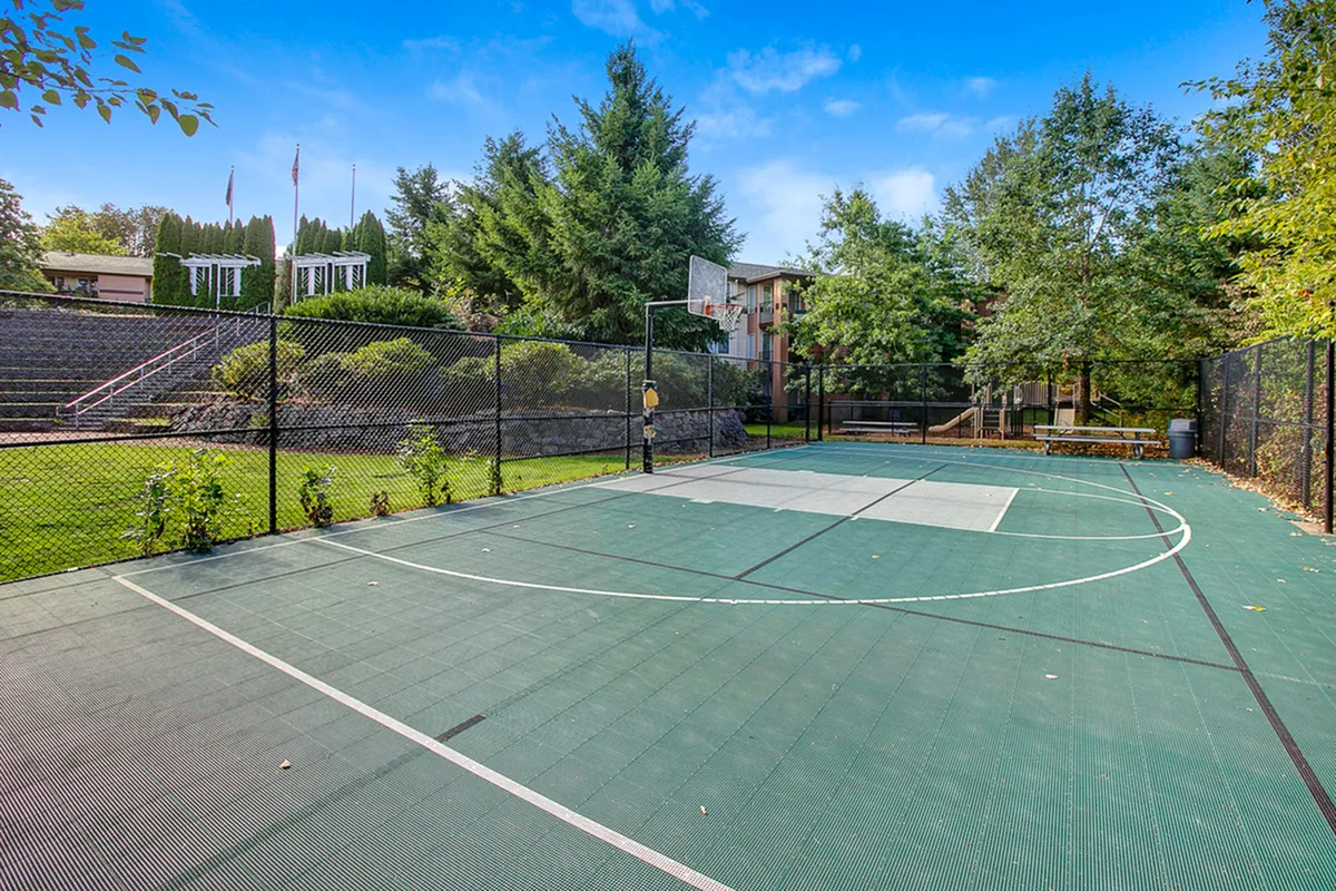 Charming outdoor basketball court surrounded by lush greenery, offering a perfect spot for recreation and relaxation.