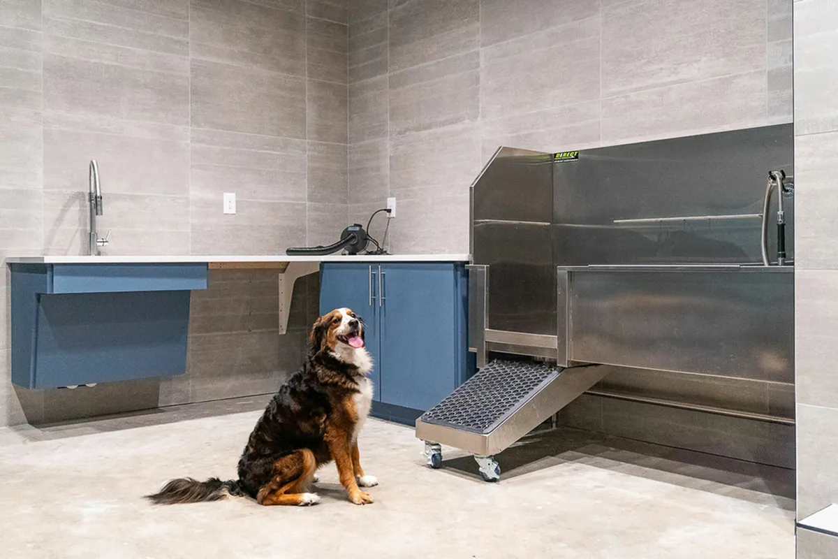 Spacious pet-friendly wash station with modern fixtures and a happy dog, ideal for convenient pet care at The Richmond.