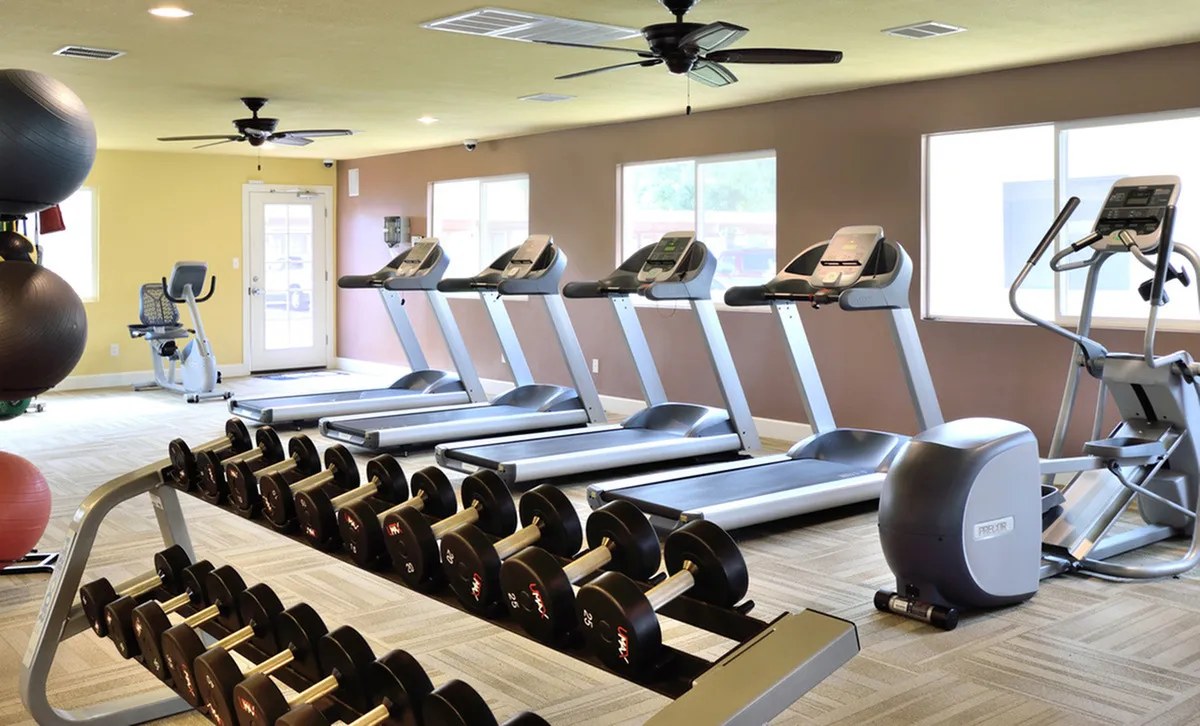 Modern fitness center with treadmills, free weights, exercise balls, and cardio machines offering a vibrant workout atmosphere.