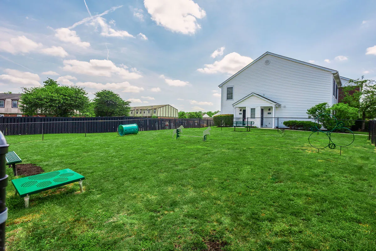 Charming outdoor space with lush green grass, perfect for relaxation near a stylish house with a modern facade under a bright blue sky.