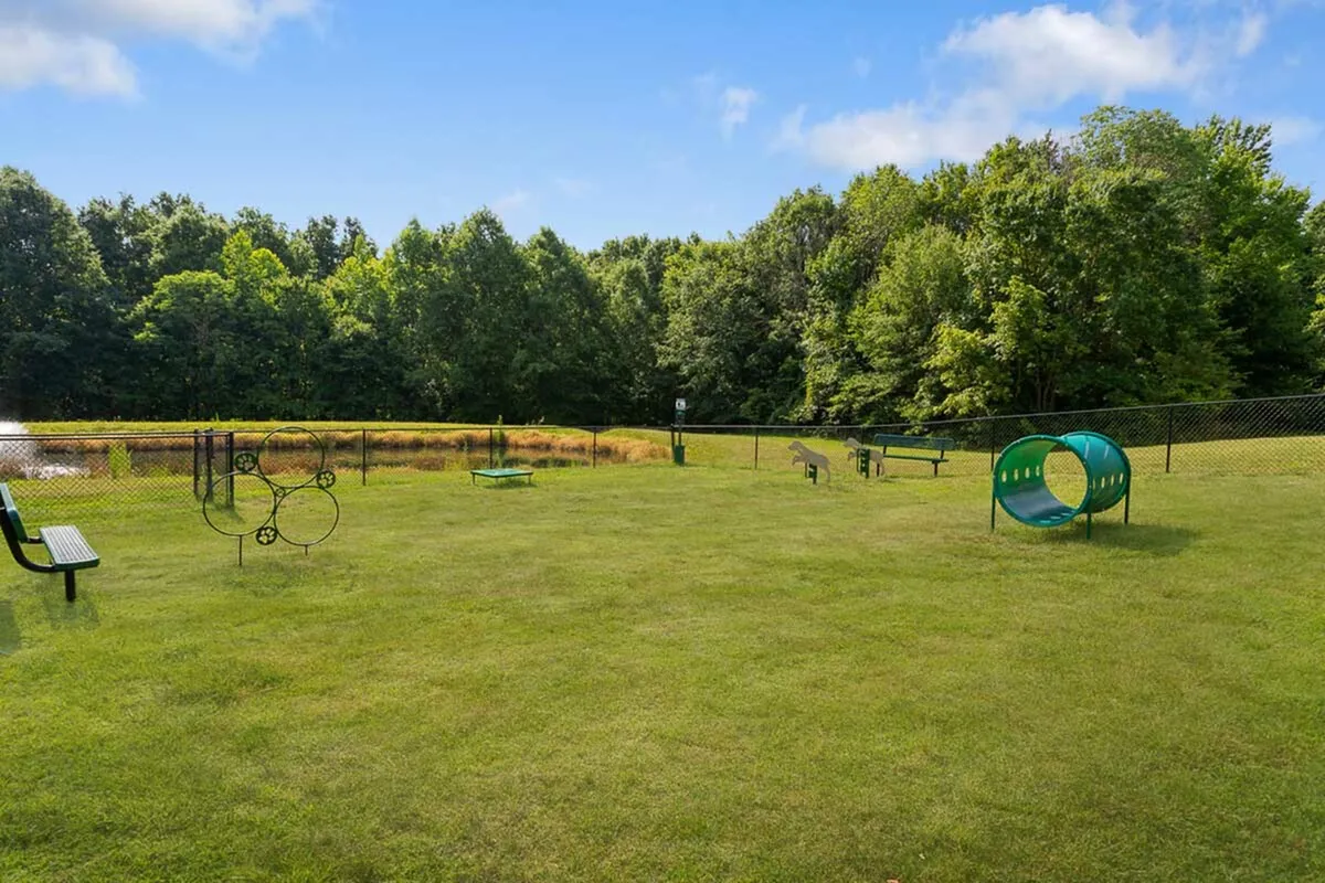 Inviting outdoor dog park with lush greenery, agility equipment, and a scenic pond view, perfect for pet-friendly living.