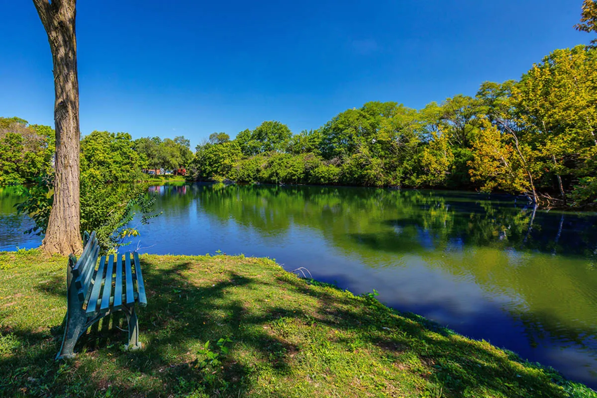Serene lakeside view with lush green trees and a charming wooden bench, perfect for relaxation and nature lovers.