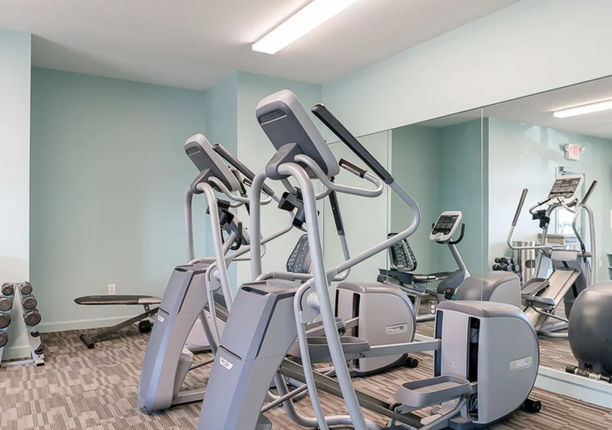 Modern gym facility with state-of-the-art elliptical machines and sleek interior design for a premium fitness experience.
