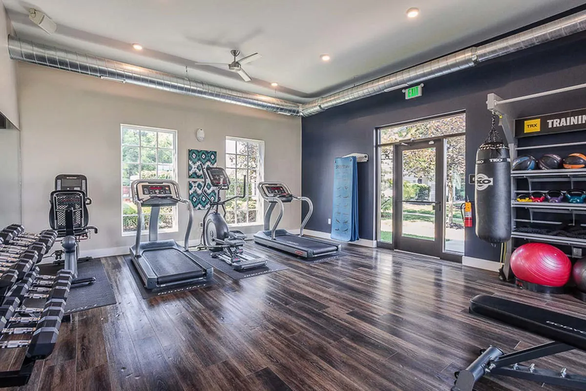 Modern fitness center with state-of-the-art equipment, including treadmills, weights, and a punching bag, set in a bright, airy room with stylish decor.