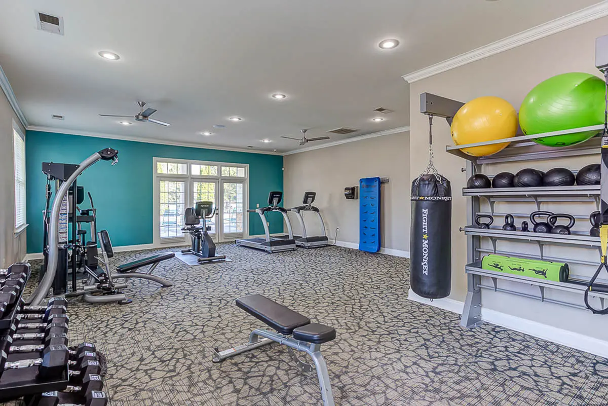 Modern fitness center with state-of-the-art equipment, vibrant colors, and a sleek design for ultimate workout experience.