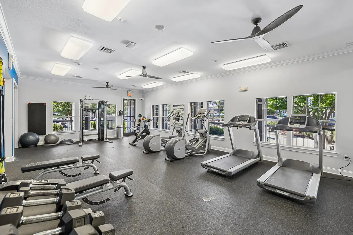 Modern apartment gym with state-of-the-art fitness equipment, treadmills, benches, and mirrored wall.