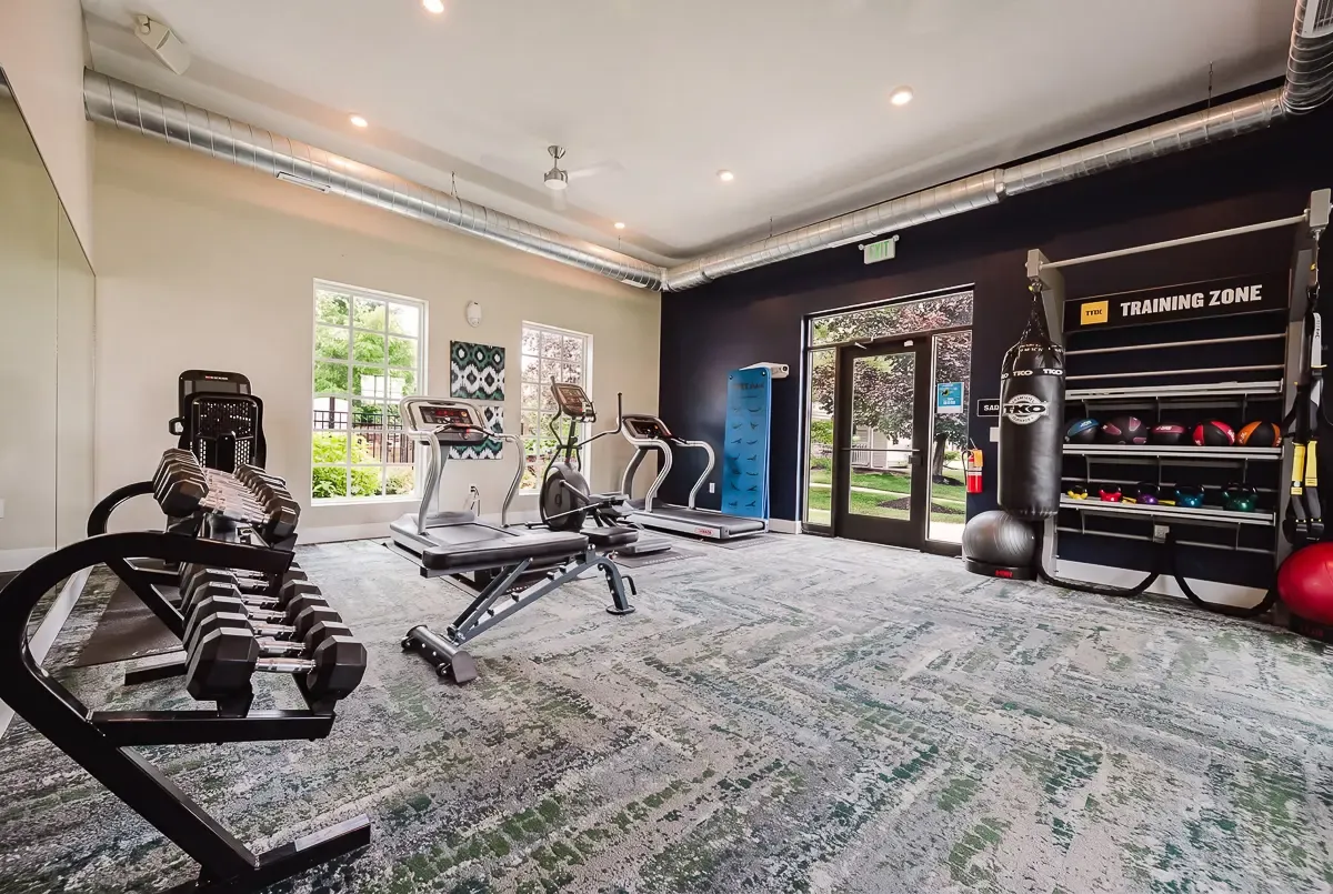 Modern fitness center with state-of-the-art equipment, including treadmills, weights, and a punching bag, set in a bright, airy room with stylish decor.