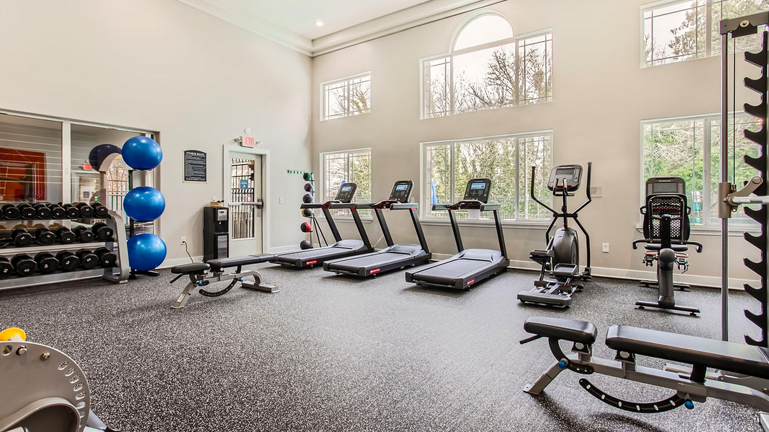 Bright and inviting fitness center equipped with treadmills, weight racks, and modern exercise machines, featuring large windows and high ceilings.