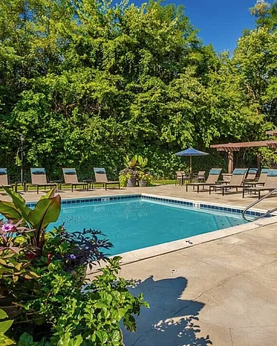Inviting outdoor pool area with lush greenery, sun loungers, and a pergola for relaxing ambiance.