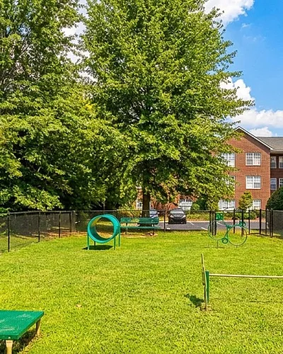 Inviting pet park with agility equipment, lush greenery, and adjacent brick apartment buildings; ideal for pet-friendly living.