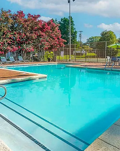 Inviting outdoor swimming pool surrounded by lush trees and comfortable lounge chairs, offering a perfect spot for relaxation.