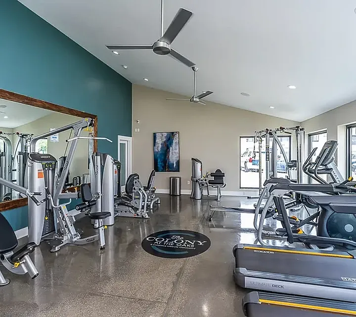 Modern fitness center with state-of-the-art gym equipment, including treadmills and weight machines, enhancing the vibrant community lifestyle.