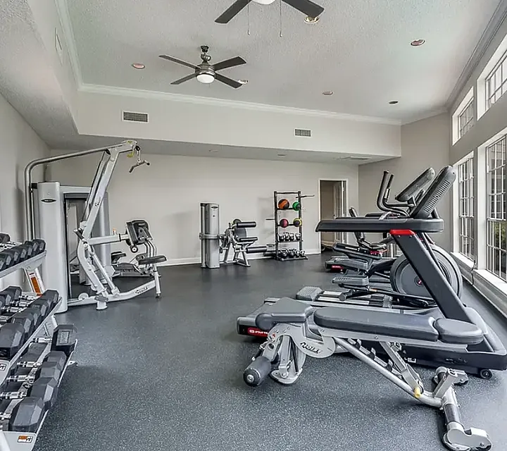 Bright and airy modern gym with state-of-the-art fitness equipment, including treadmills and weights, bathed in natural light from large windows.