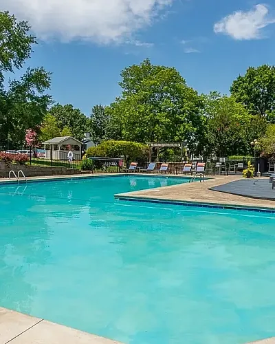 Inviting outdoor pool surrounded by lush greenery and stylish lounge chairs, perfect for relaxation and leisure.