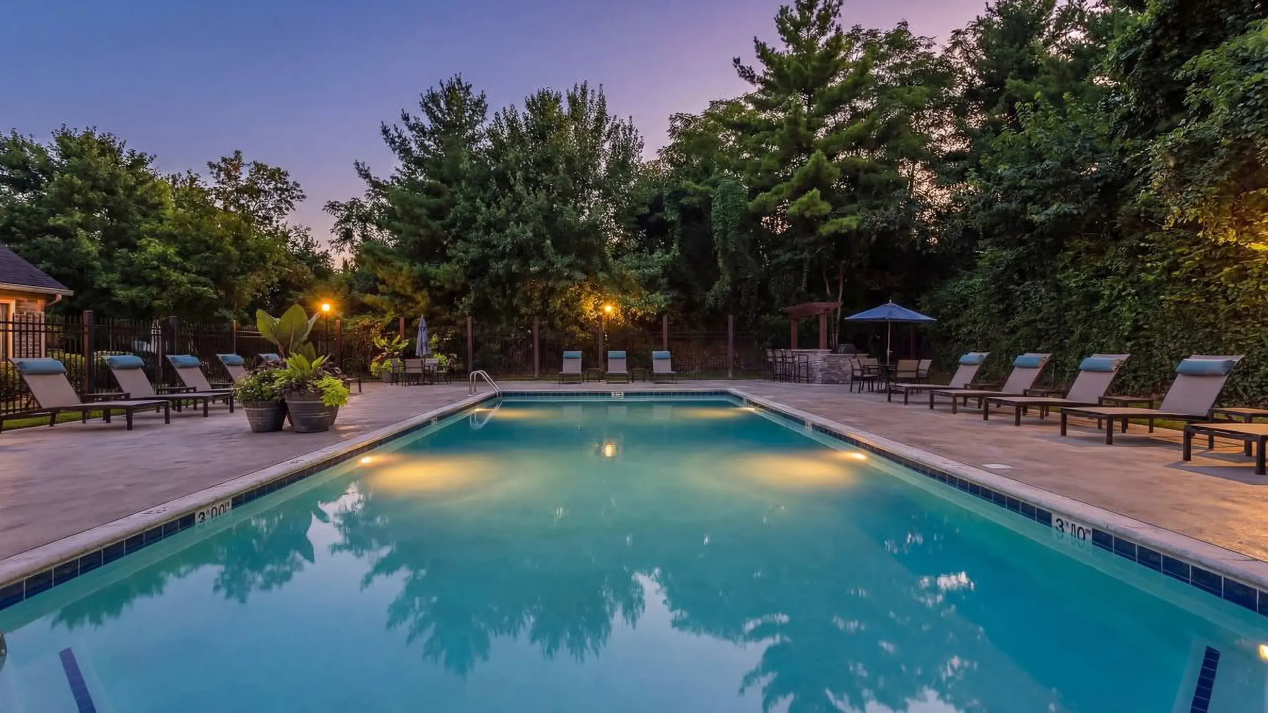 Inviting outdoor pool area surrounded by lush greenery, featuring numerous lounge chairs and vibrant potted plants under a clear blue sky.
