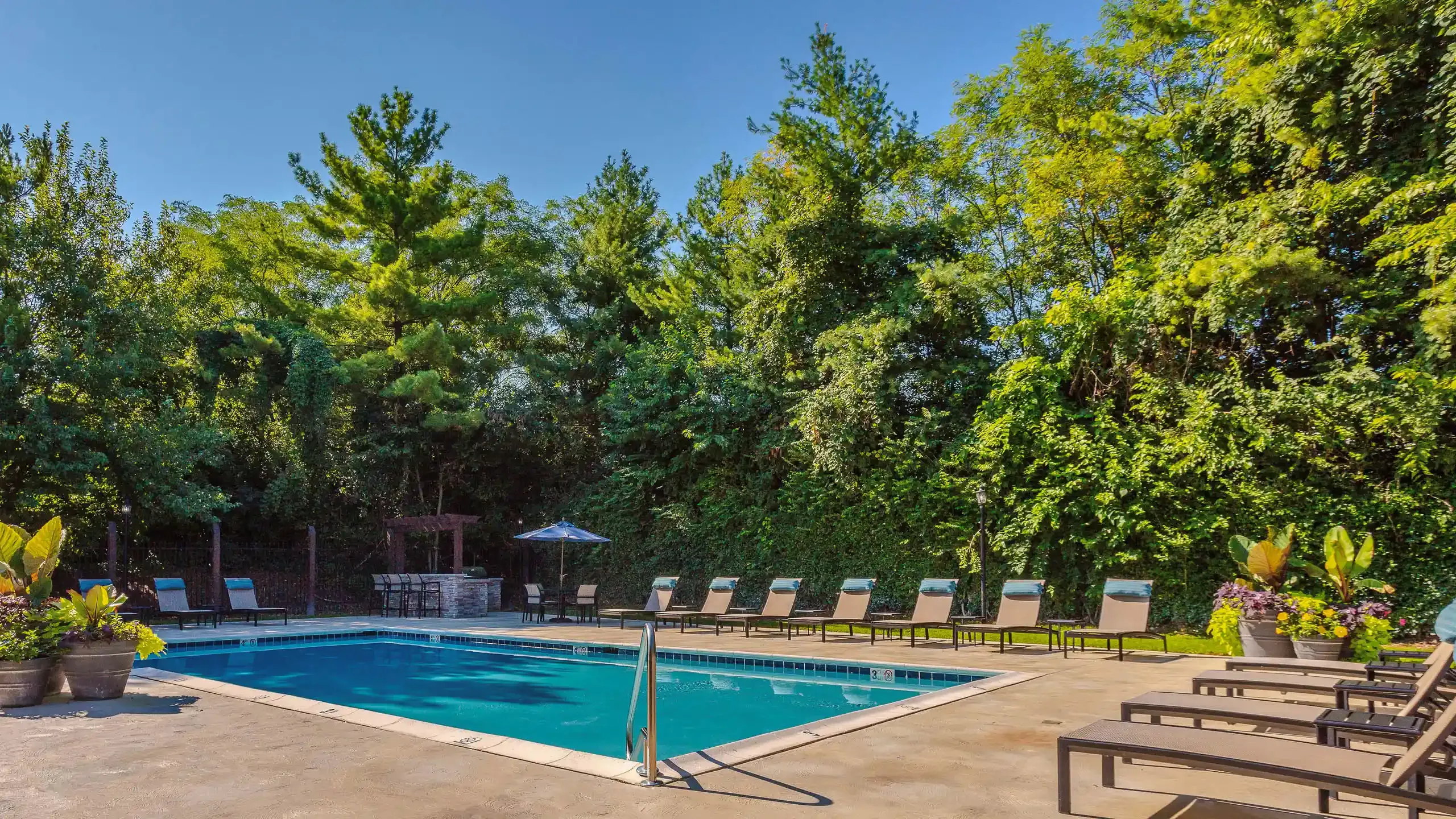 Inviting outdoor pool area surrounded by lush greenery, perfect for relaxation at sunset with comfortable lounge chairs at Timber Hollow Apartments