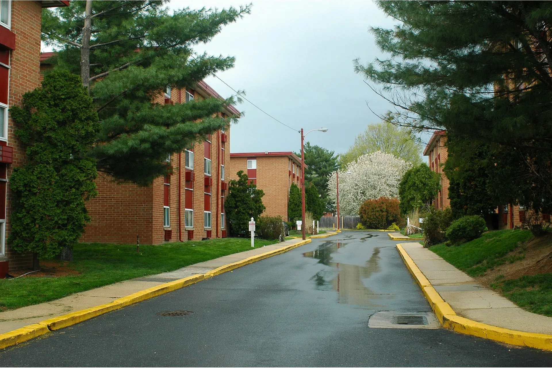 Newport Terrace Photo