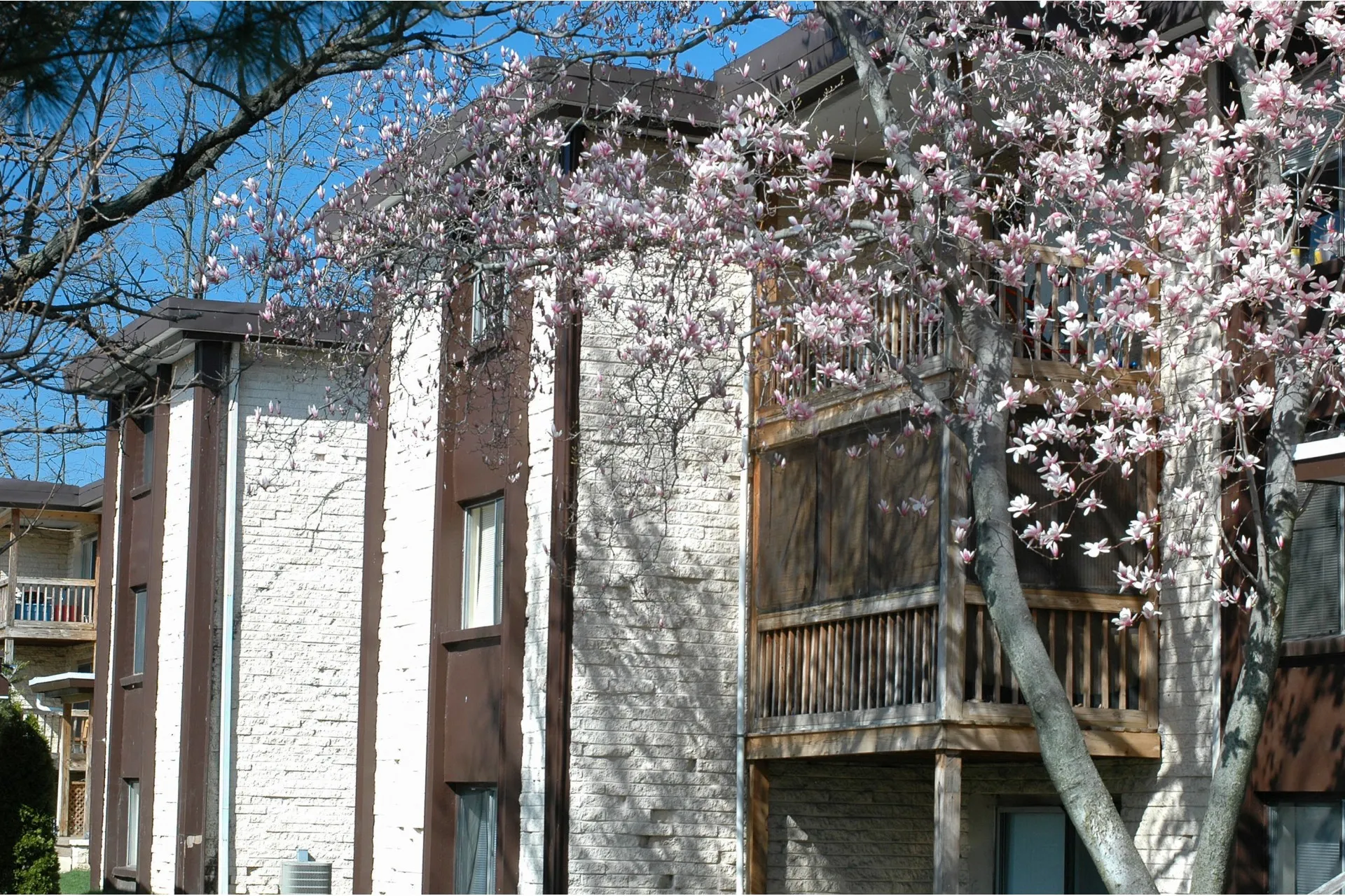 Driftwood Club Apartments