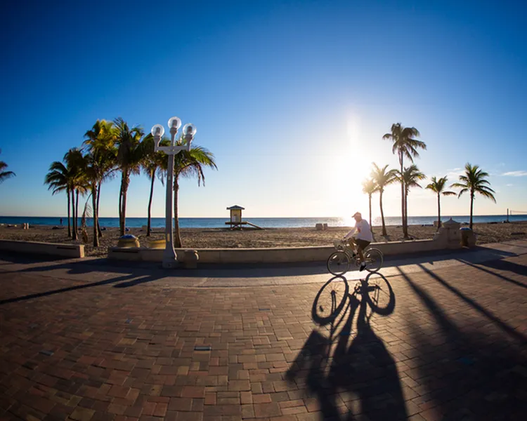 Exploring the Aventura District Near Modera Aventura-image