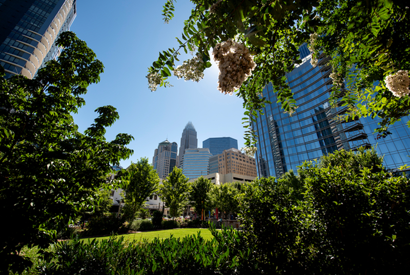 Explore the Lower South End Near Modera LoSo in NC-image