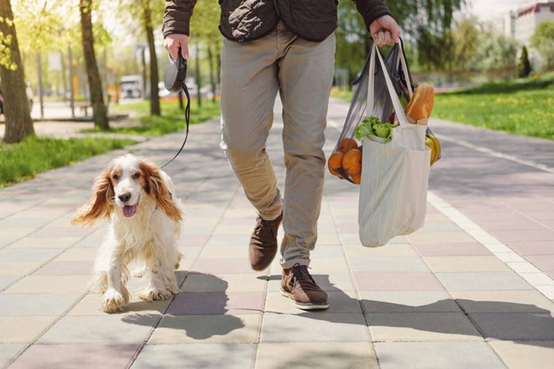 Alister Lake Lynn: North Raleigh Neighborhood Guide-image