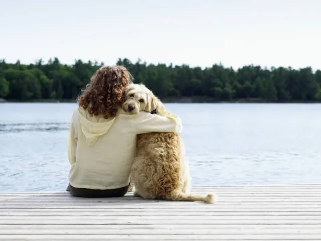 woman sitting with dog on dock near lake amavi mooresville single family homes for rent in nc