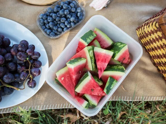 picnic with fruit on blanket amavi mooresville single family homes for rent in nc