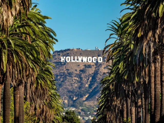 picture of hollywood sign on palm tree lined street modera argyle apartment homes for rent