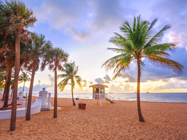 beach with palm trees at sunrise modera academical village apartment homes for rent in davie fl