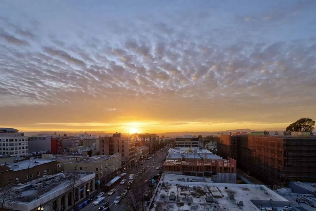 Berkeley city views at sunset