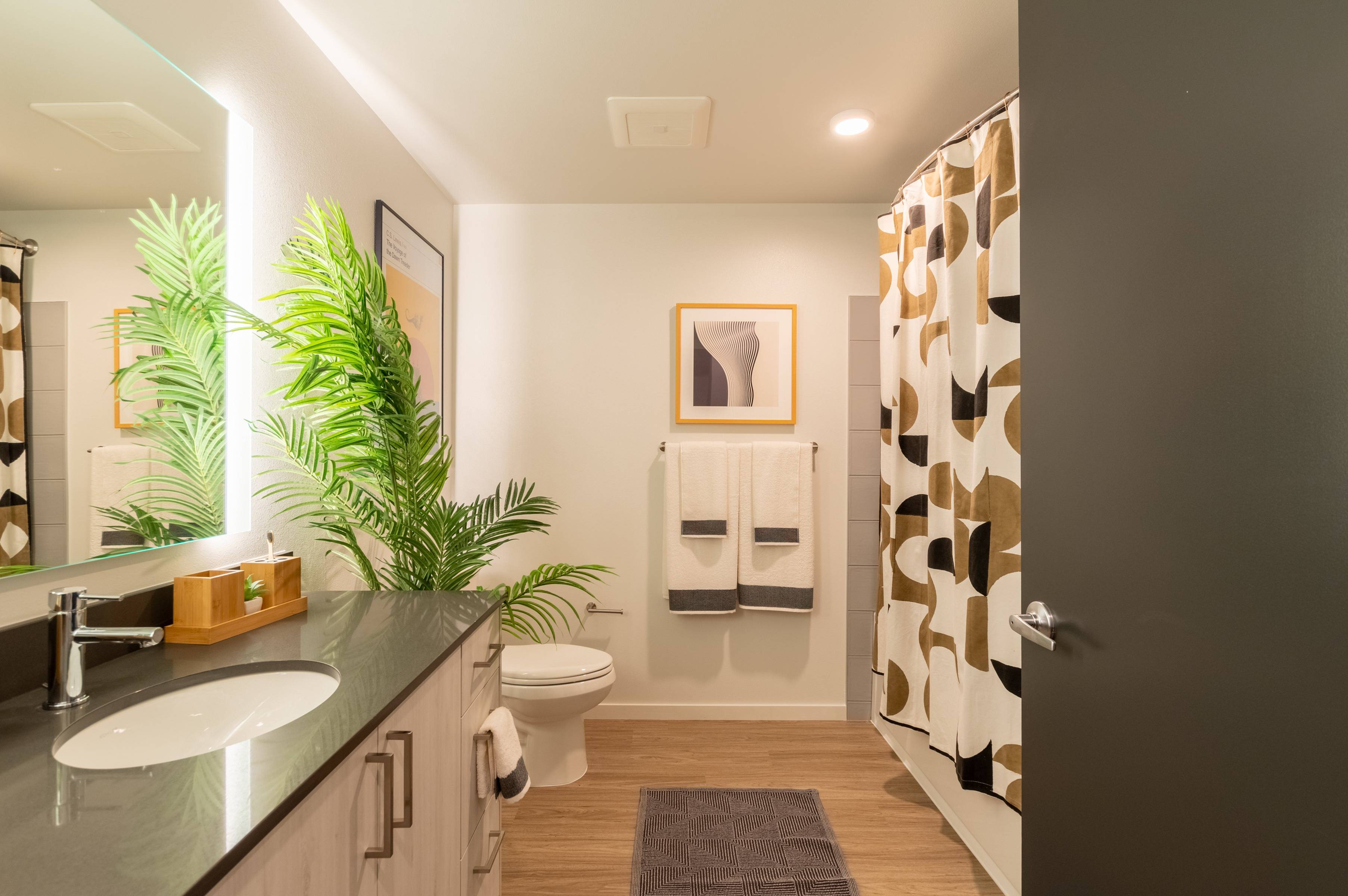 Bathroom with lighted mirror and geometric decor including a plant
