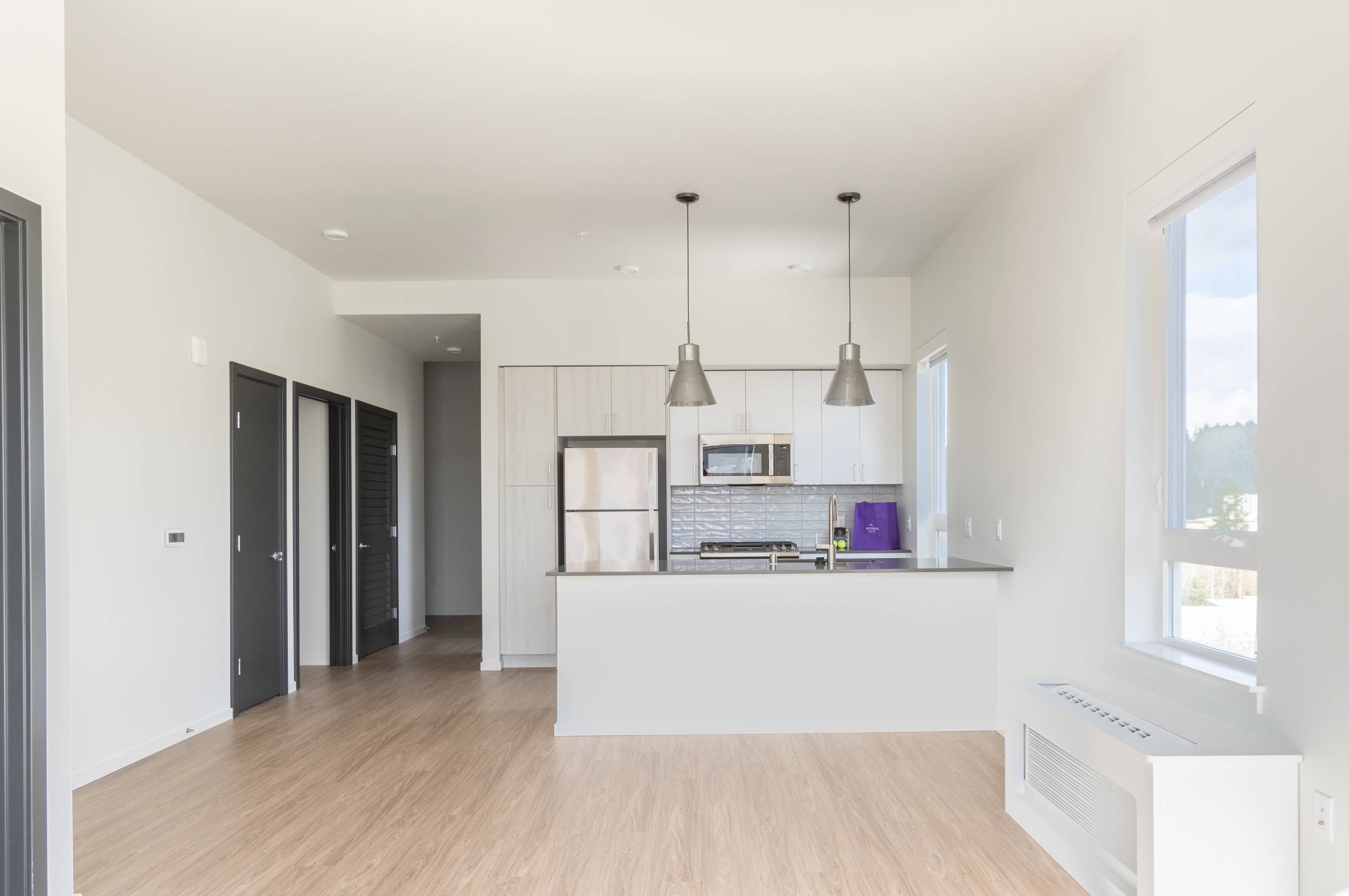 Dedicated pantry space in kitchen along with large cabinets