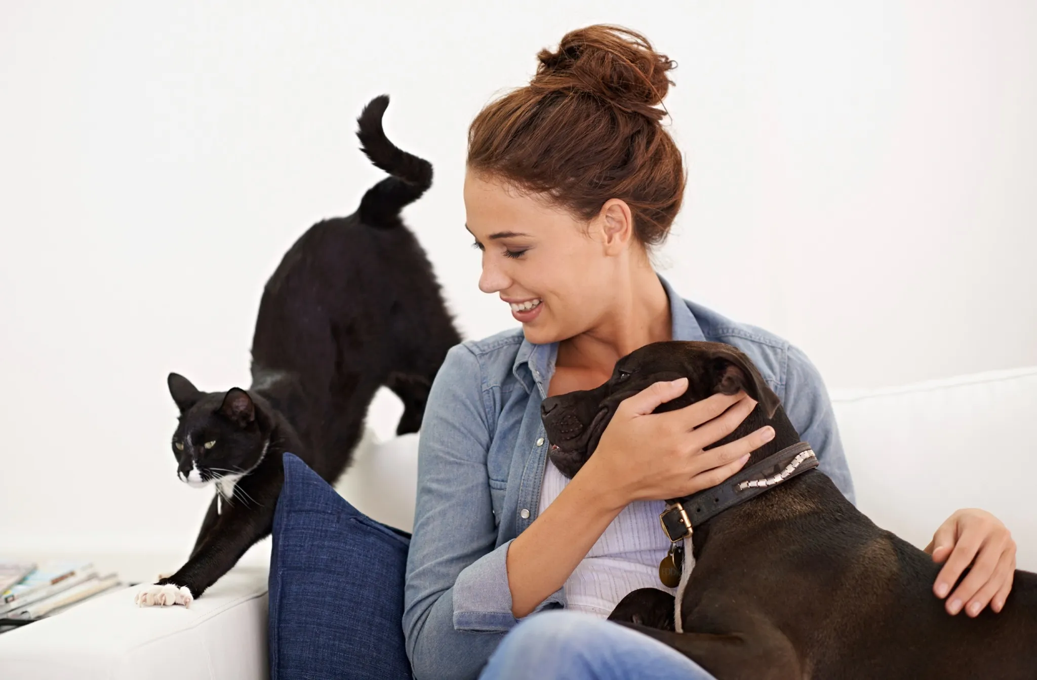 image of owner playing with cat and dog