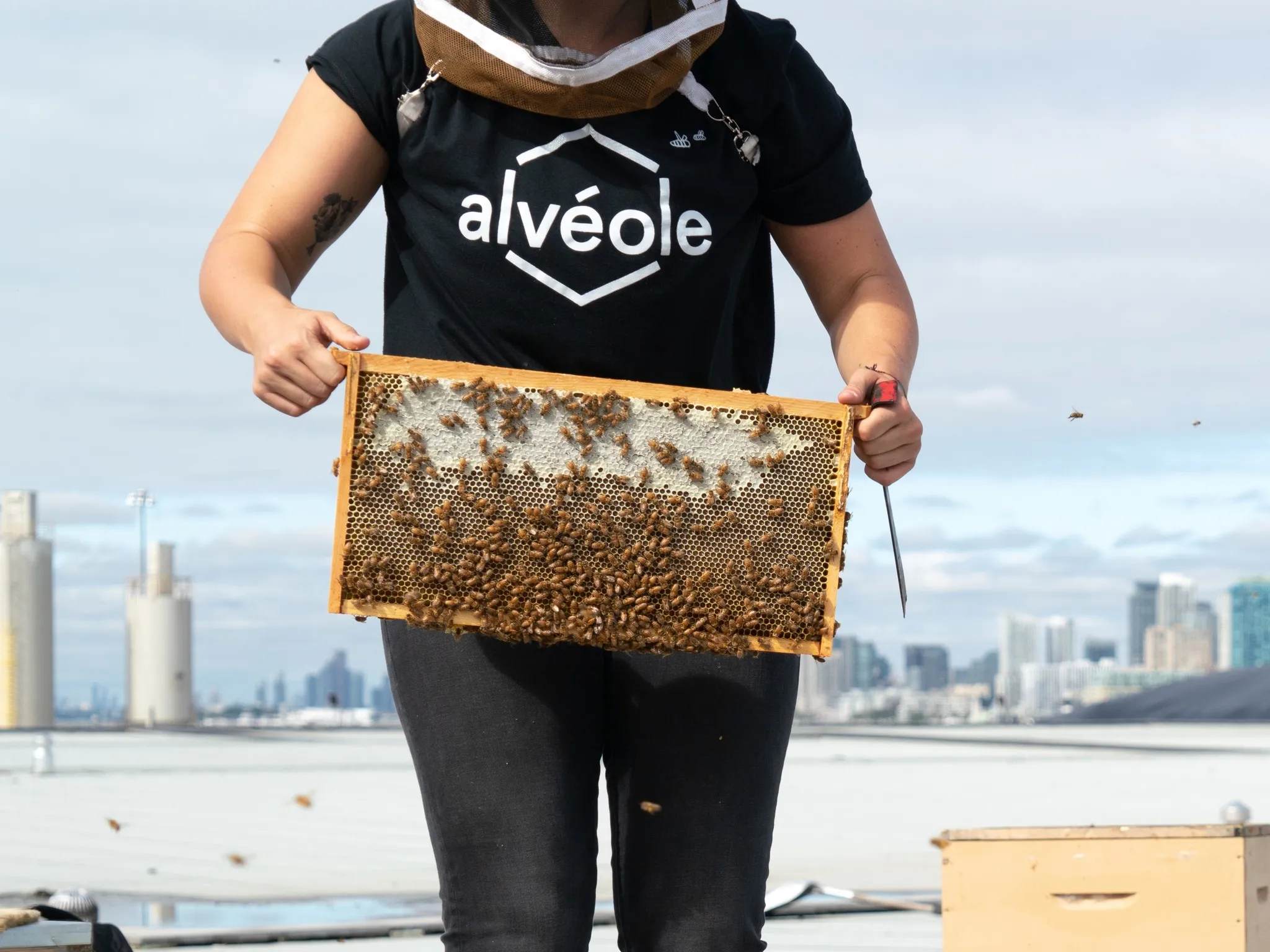 Image of Alveole bee keeper with hive