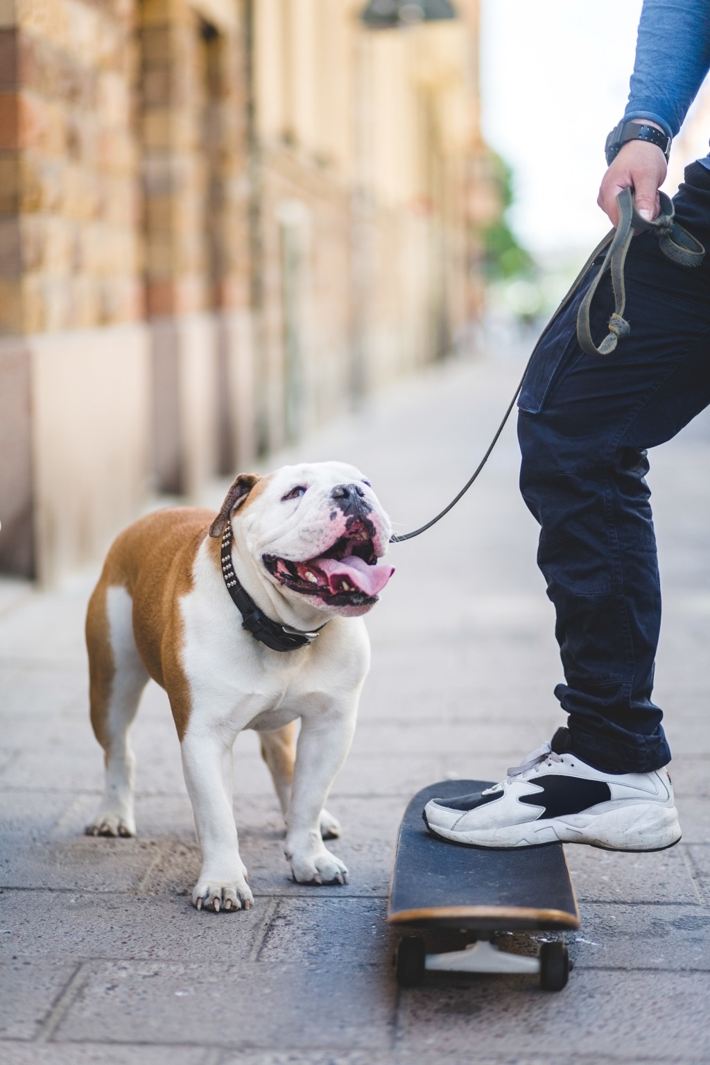 man with dog skateboarding outside modera berkeley heights apartments new jersey