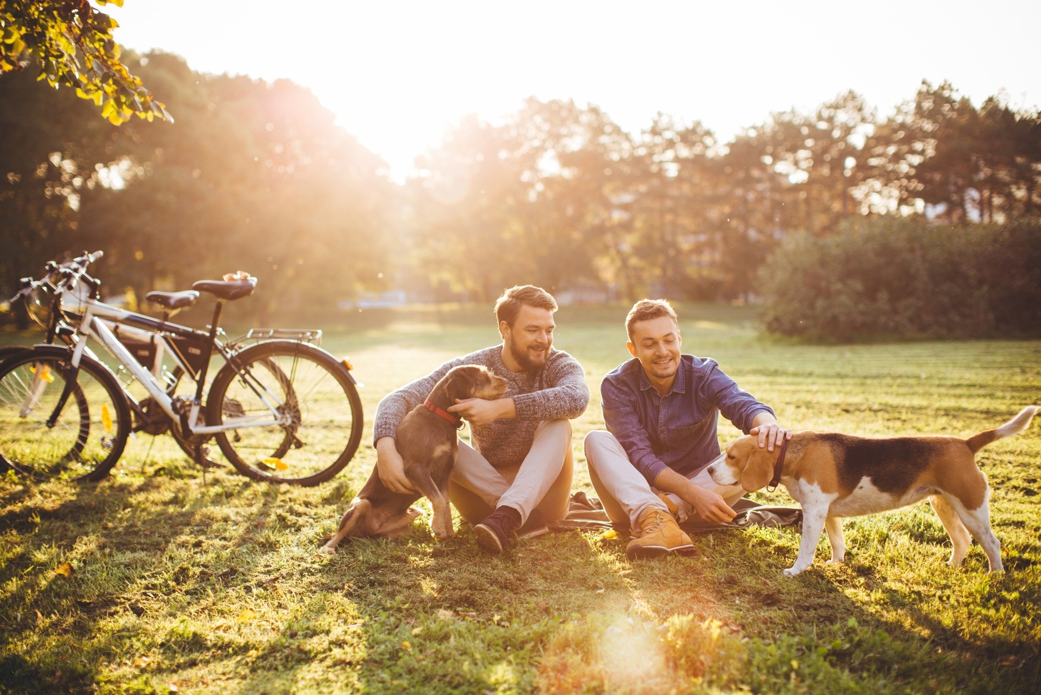 couple outside together at park with dogs and bikes modera berkeley heights apartments new jersey