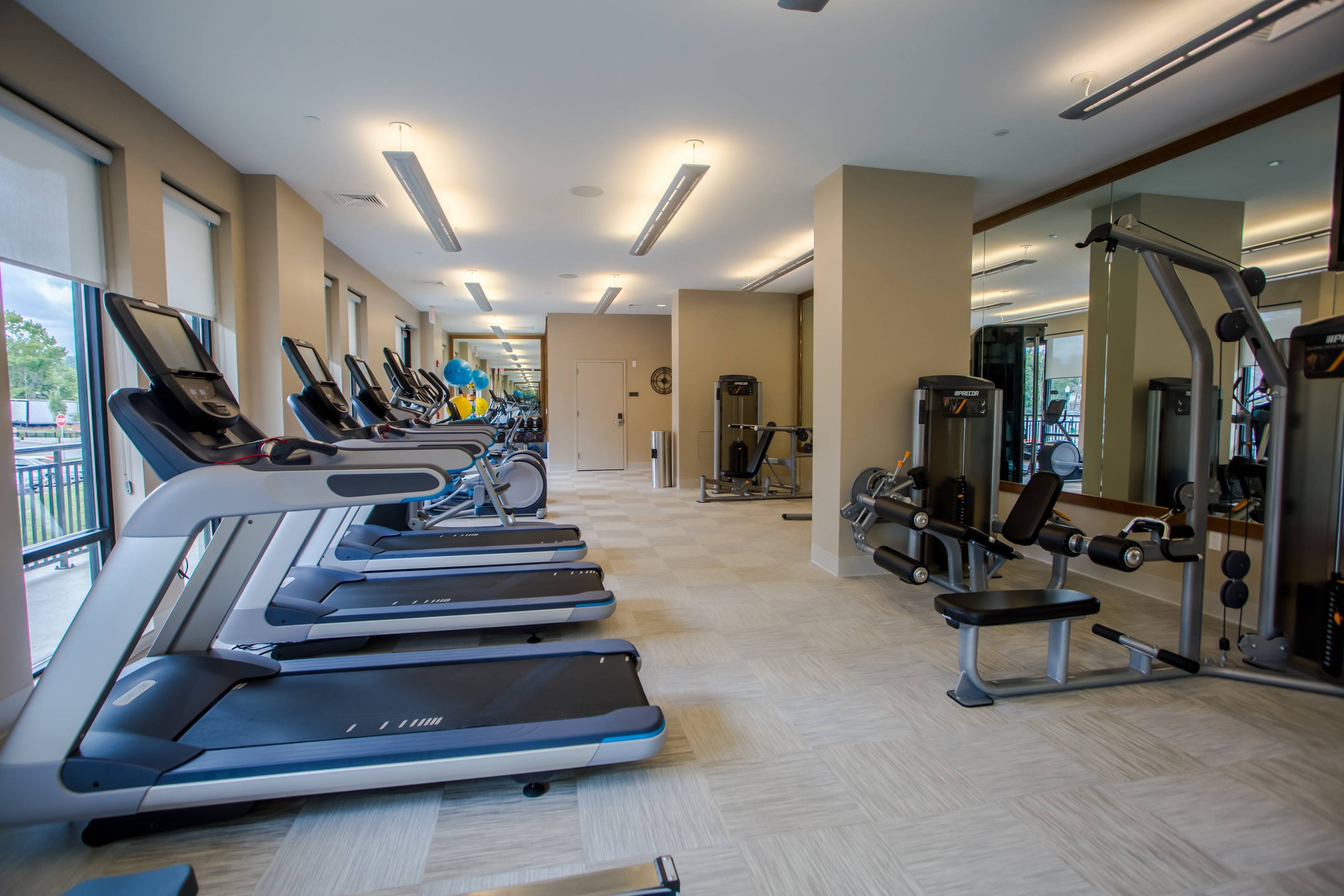 Modera 55 fitness and gym equipment