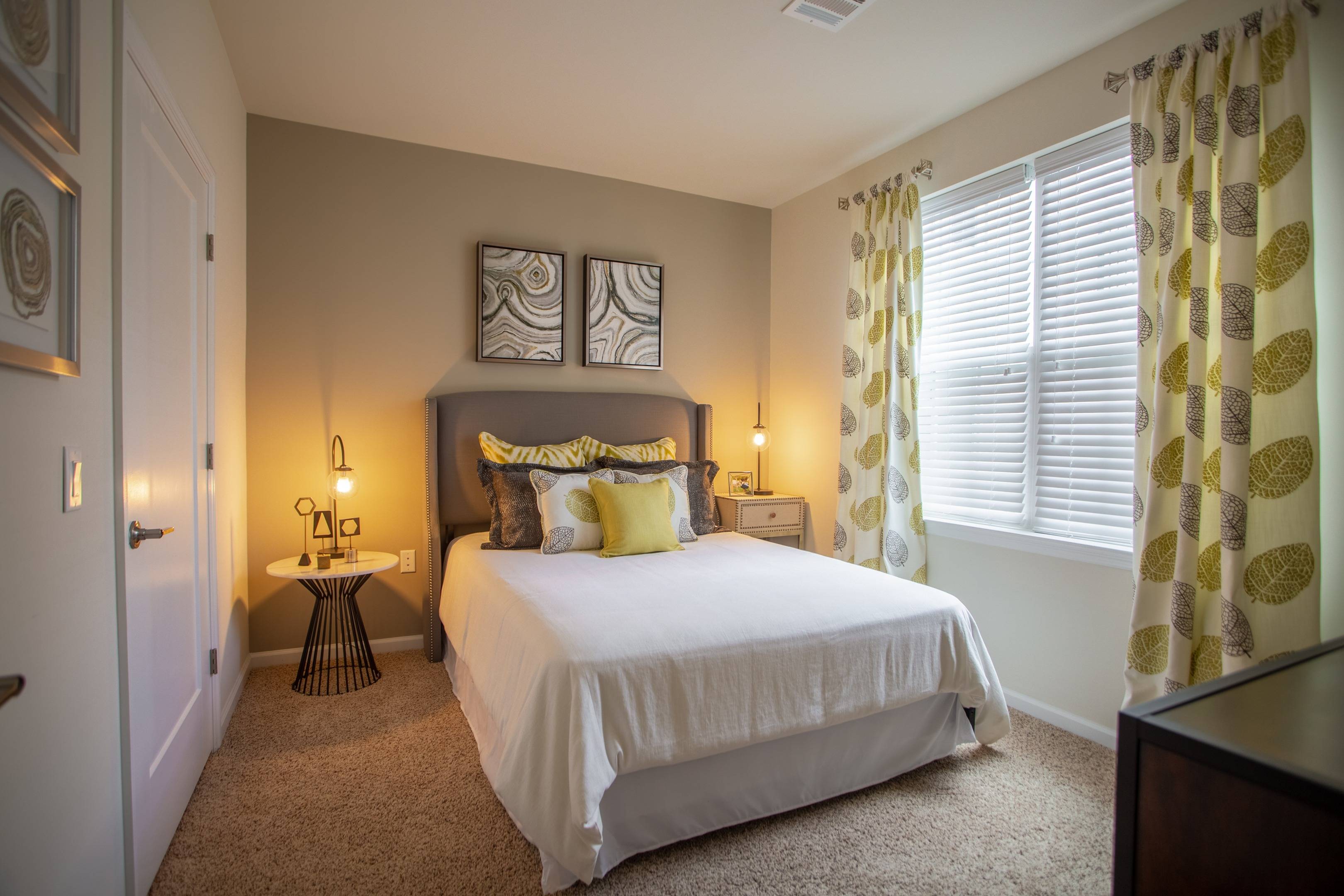 Modera 55 Plush wall-to-wall carpeting in bedrooms