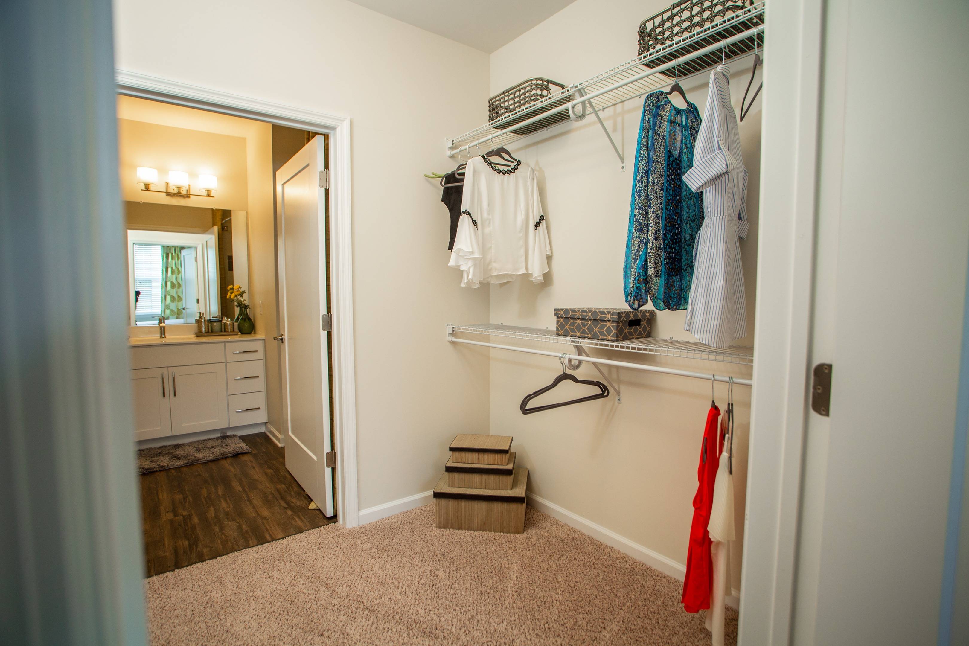 Modera 55 Dual entrance bathroom with pass through closet