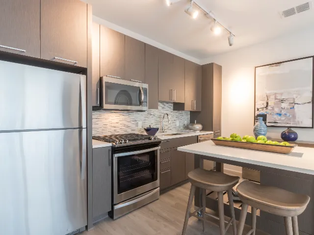 Contemporary kitchens featuring stainless steel appliances and gas cooktops