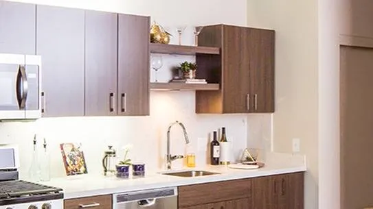 Open display shelving in the kitchen