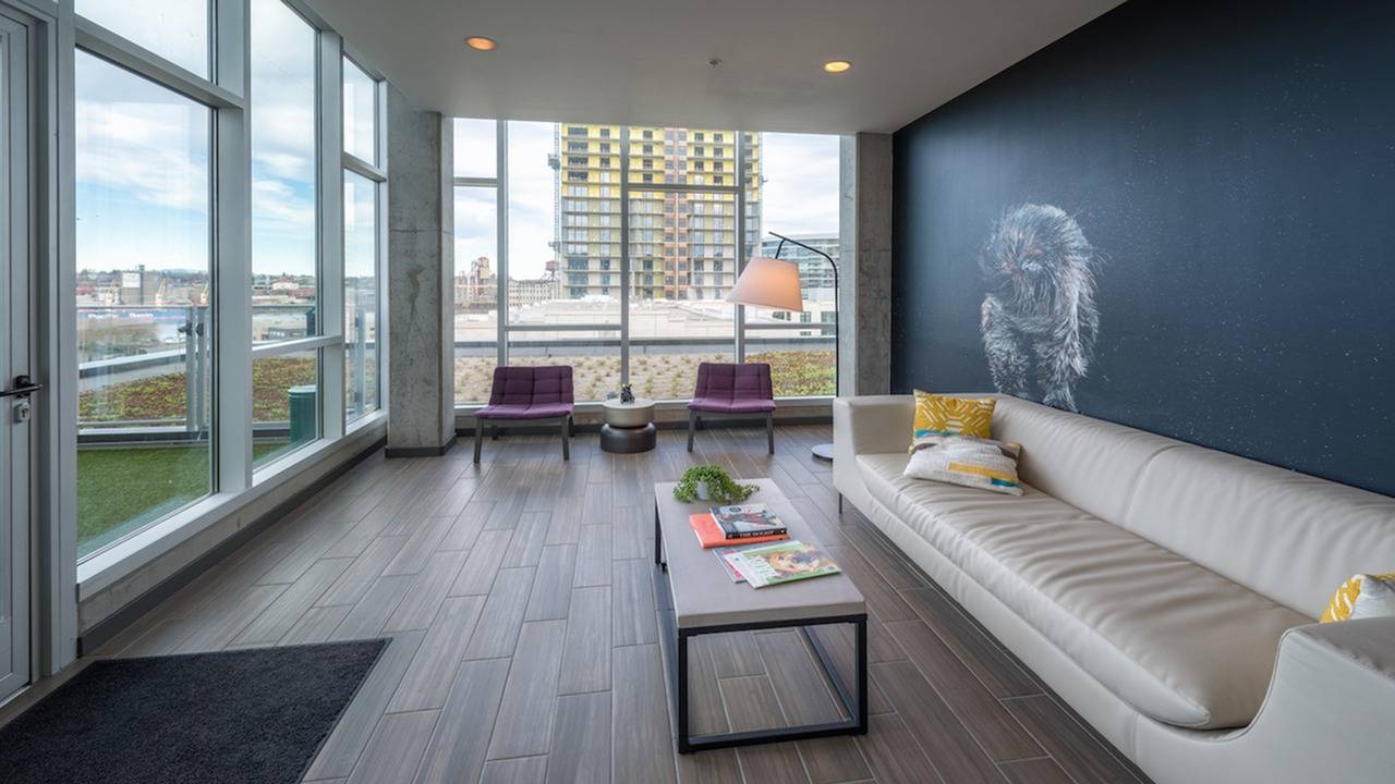 Stay awhile with the pet lounge
