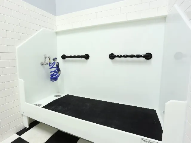 Image of pet spa