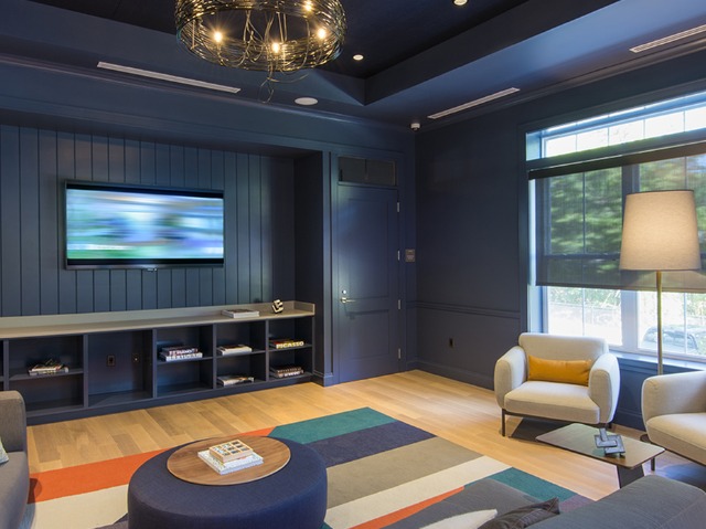 Image of theater room at Modera Needham